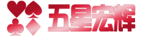 五星宏辉网络版